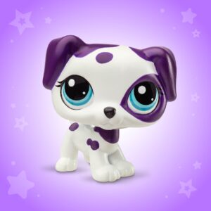 Dalmation