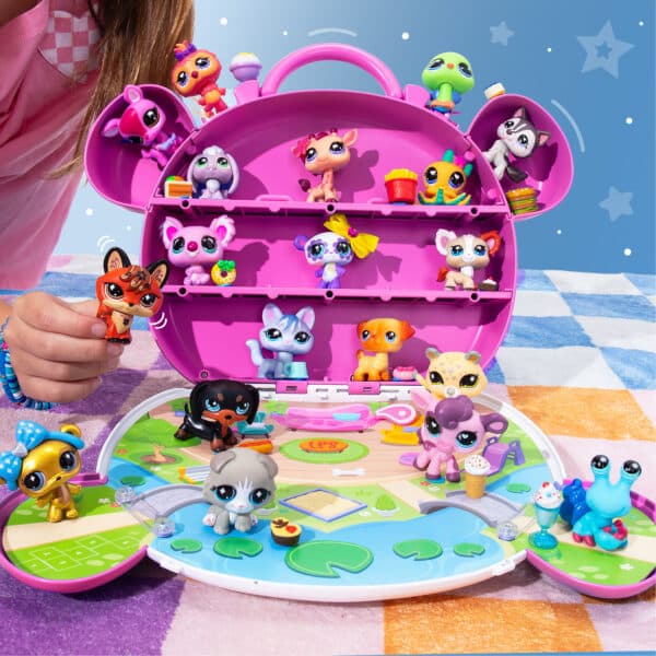 Collect & Display Collection