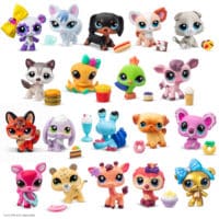 Collect & Display Collection