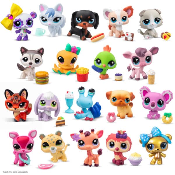 Collect & Display Collection