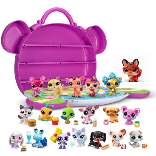 Collect & Display Collection