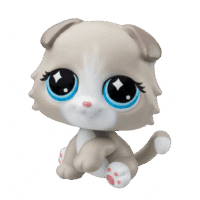 LPS_#229_ScottishFoldCat