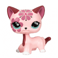 LPS_#270_ShortHairCat