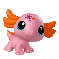 LPS_#304_Axolotl