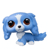LPS_#309_CockerSpaniel