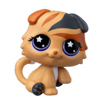 LPS_#313_ScottishFoldCat