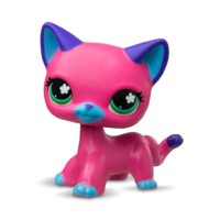 hot pink shorthair cat