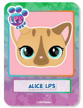 Brand-Ambassador-Cards-10